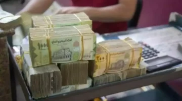 بنك القاسمي يطلق هلا موني لصرف معاشات تعز وينهي معاناة كبار السن بعد انتظار شهور 1